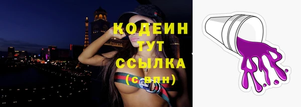 крисы Баксан