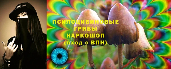 гидропоника Балахна