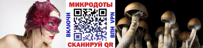 Галлюциногенные грибы прущие грибы  Купить  Рассказово 