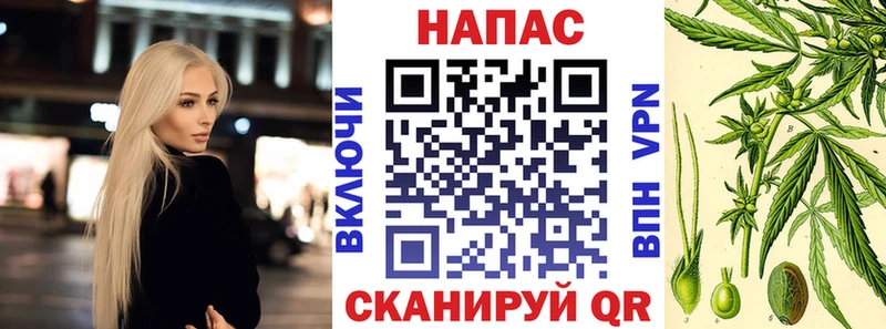 Купить  Рассказово  Бошки марихуана план 